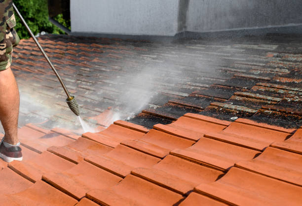 Local Pressure Washing Services in Key Vista, FL